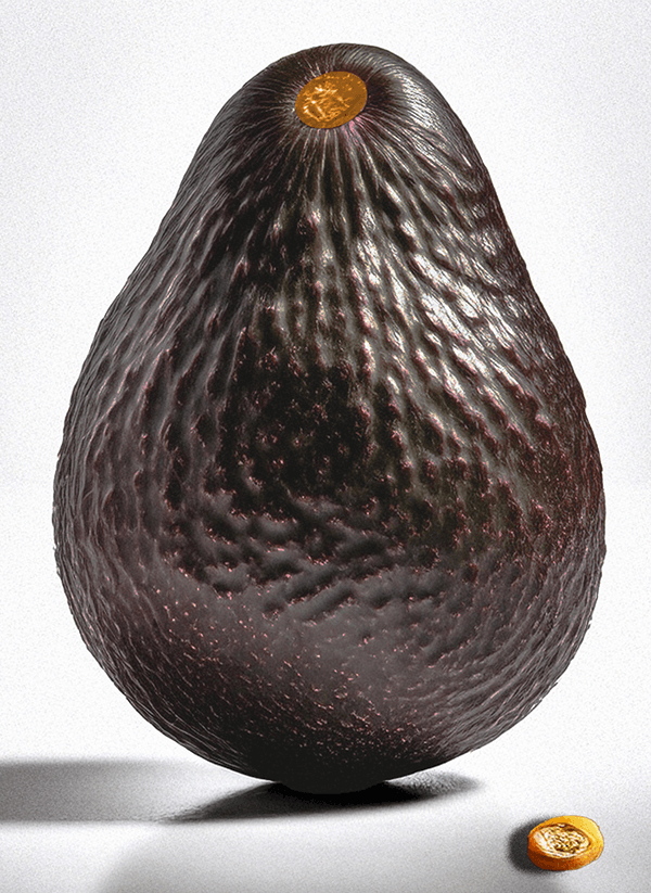 Perfect-Underripe-avocado