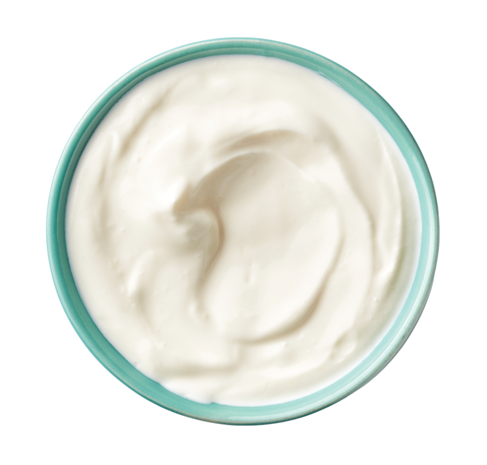 bac_yogurt-plain