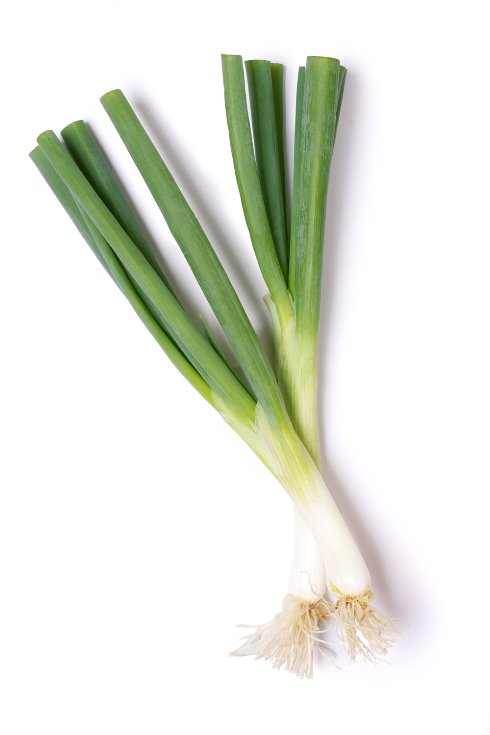scallions