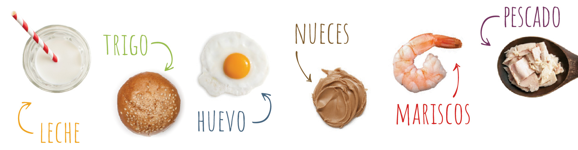 Milk, wheat, egg, nuts, seafood, and fish illustrated.